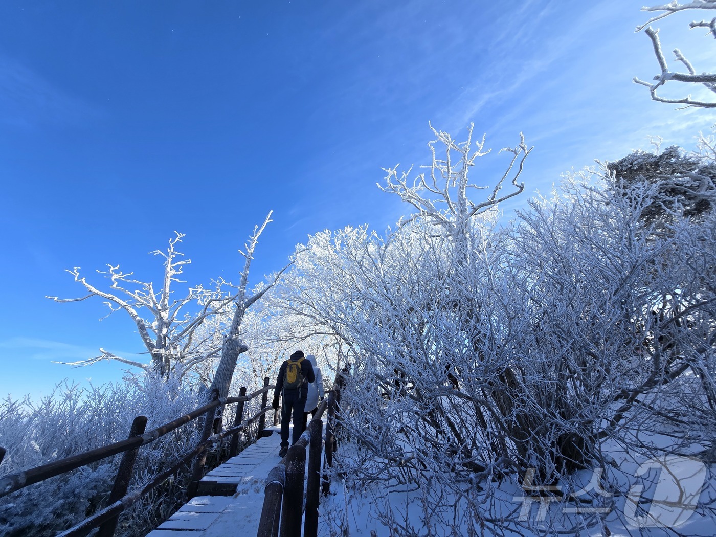 덕유산 향적봉 상고대