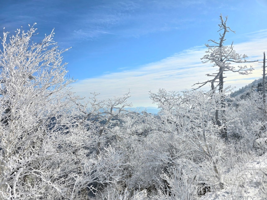 덕유산 향적봉에서 바라본 설경