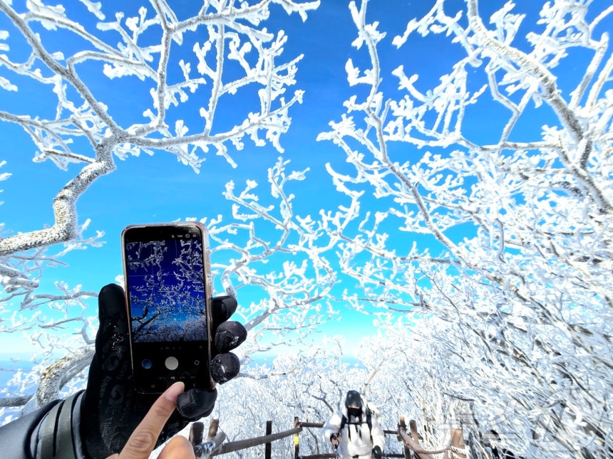 덕유산 향적봉서 "눈꽃이다" 찰칵