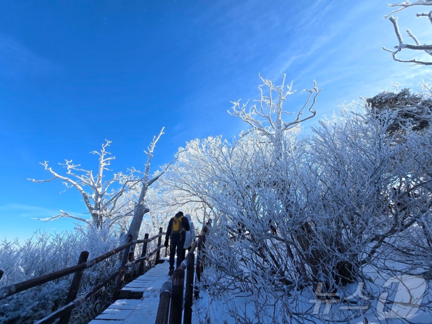 덕유산 향적봉 상고대