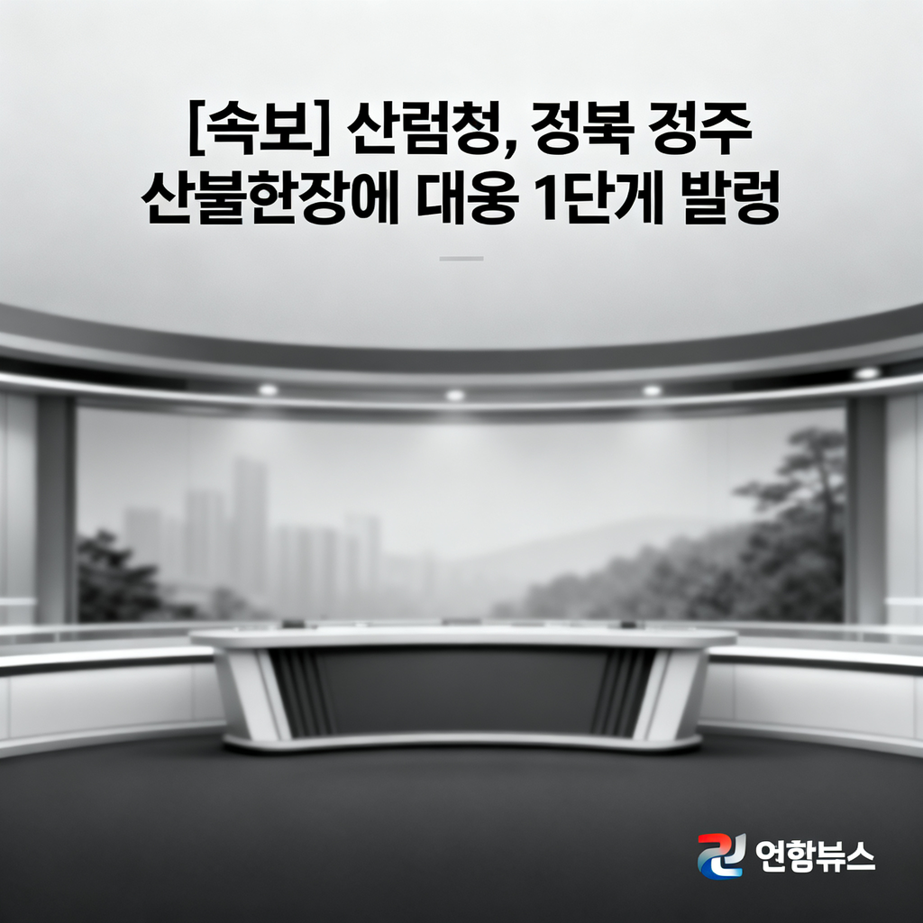 콘텐츠 이미지